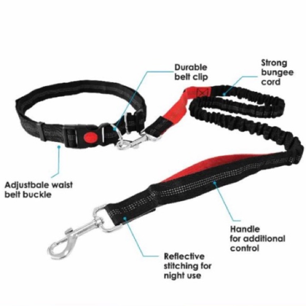 Bungee Running Dog Leash with Waist Belt